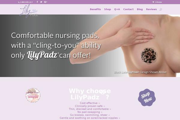 Site using Woocommerce-gateway-authorize-net-aim plugin