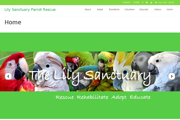 Virtue theme site design template sample