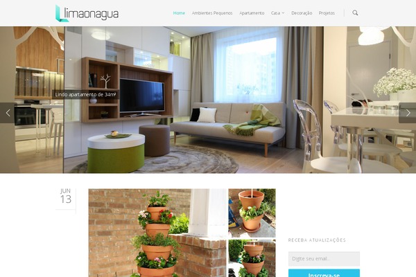 Salient theme site design template sample