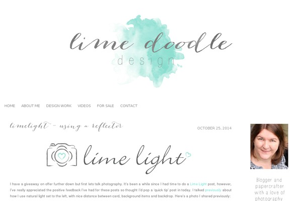 Skye_1.0 WordPress theme, websites list used Skye_1.0 theme Skye_1.0 theme websites examples