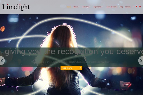 Sonec theme site design template sample