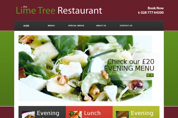 Theme1620 theme site design template sample