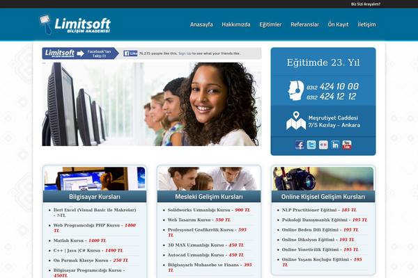 Medanis theme site design template sample