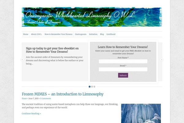 Wp-professional102 theme site design template sample