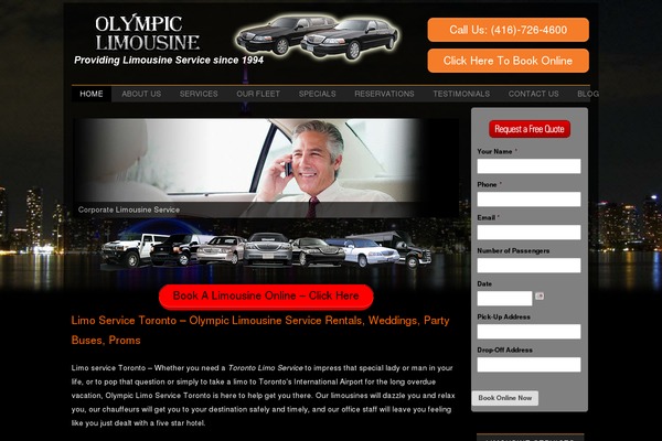 Limo theme site design template sample