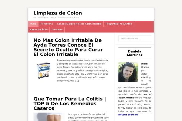 News Pro theme site design template sample