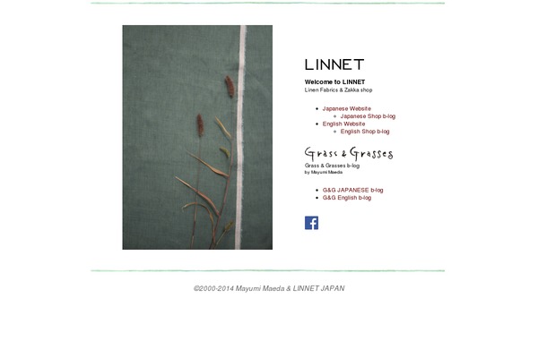 whitewash theme websites examples