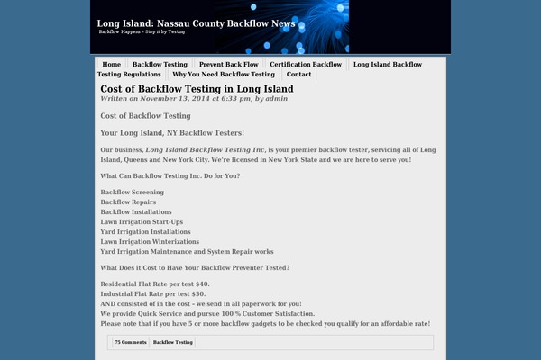 Newsever theme site design template sample