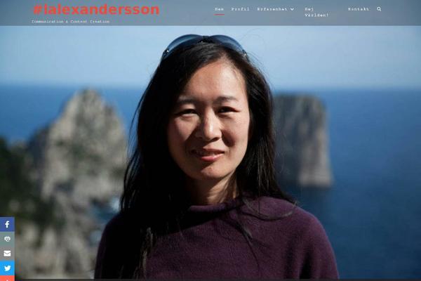 Site using Really Simple Twitter Feed Widget plugin