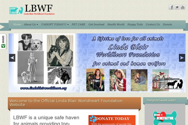 iRibbon theme site design template sample