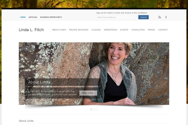 Wp Enlightened theme site design template sample