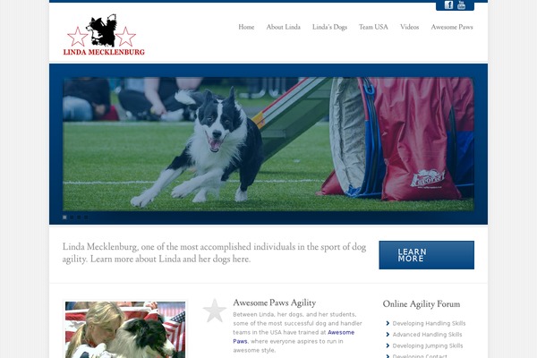 Echelon theme site design template sample