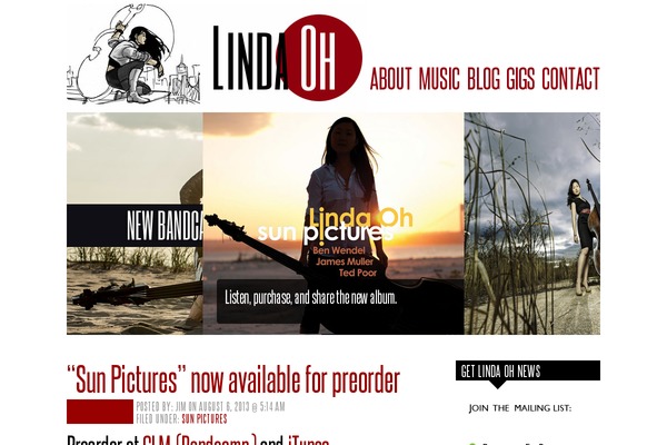 Site using Digg Digg plugin