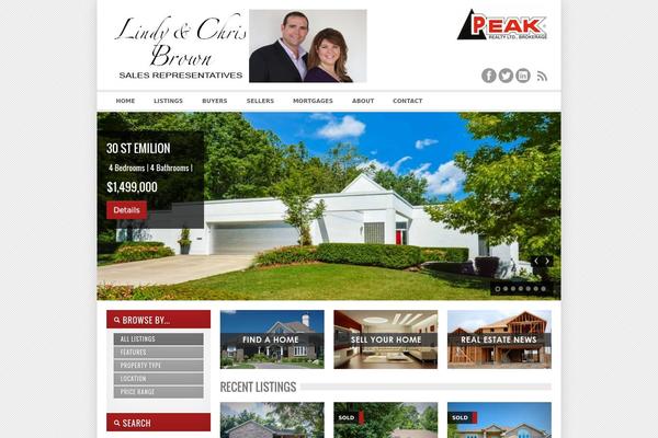 OpenDoor v1.4 theme site design template sample