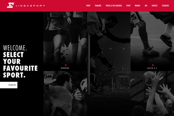 Litho theme site design template sample