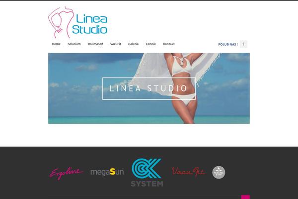 Site using Web-font-social-icons plugin