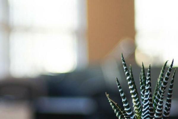 Lightning theme site design template sample