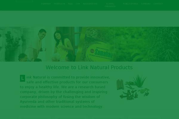 Western theme site design template sample