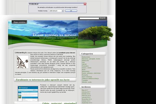 linkownik.pl site used FlyMag
