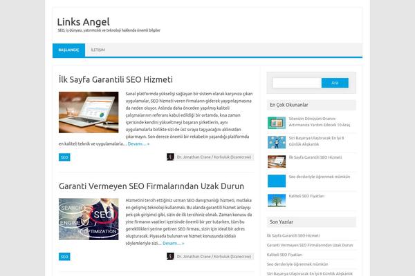 Iconic One Pro theme site design template sample