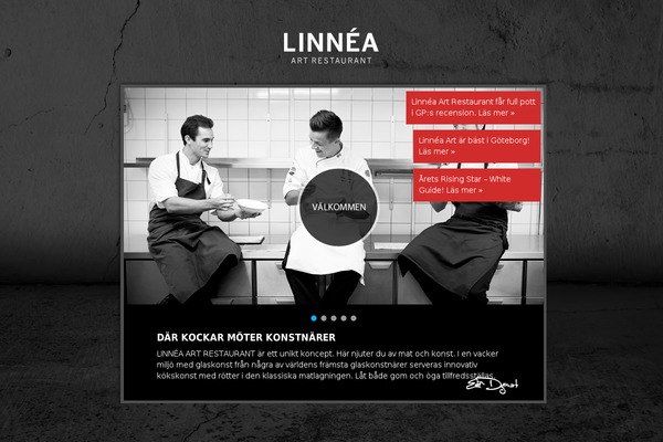 Triniti theme site design template sample