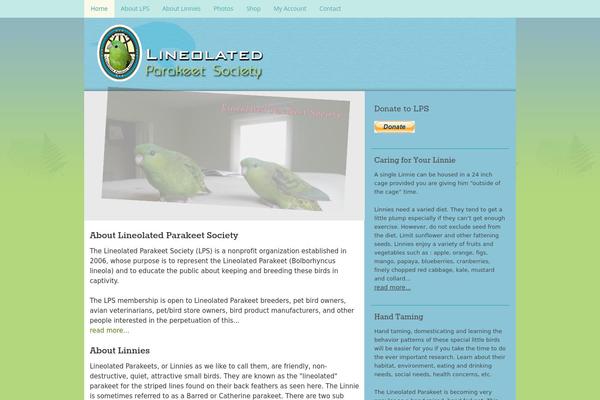 Crave Theme theme site design template sample