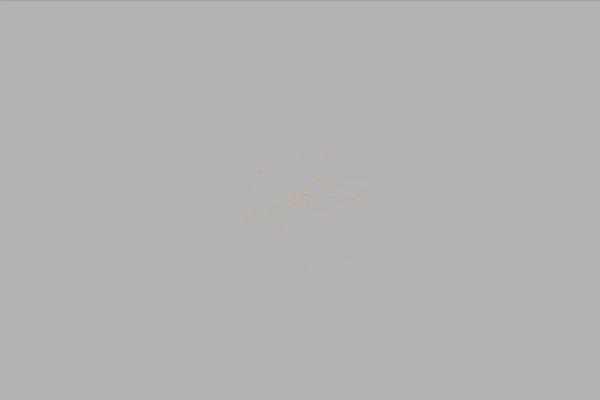 Site using WEN Logo Slider plugin