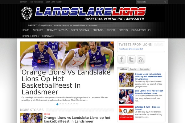 Resportsive theme site design template sample