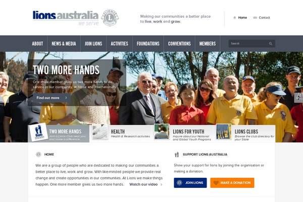 lions theme websites examples