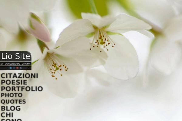 lio theme websites examples