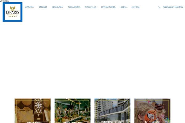 Solaz theme site design template sample