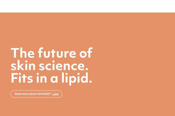 Site using WP Rocket plugin