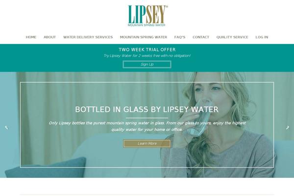 BlankSlate theme site design template sample