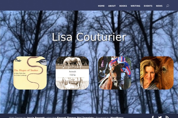 Site using Elegantbuilder plugin