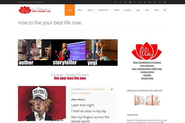 Sympathique theme site design template sample