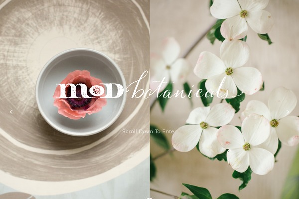 Baylie theme site design template sample