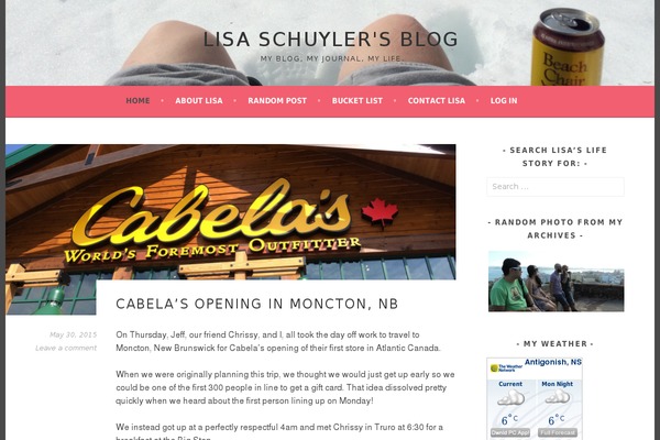 lisaschuyler.com site used Arimo