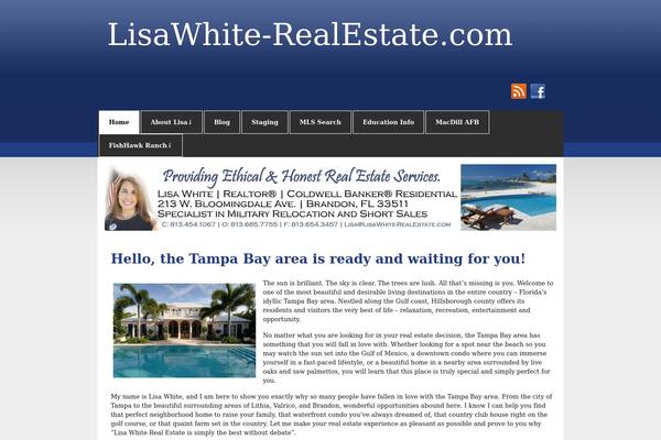 zeeSynergie theme site design template sample