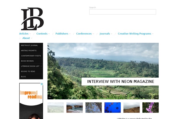 Integral theme site design template sample