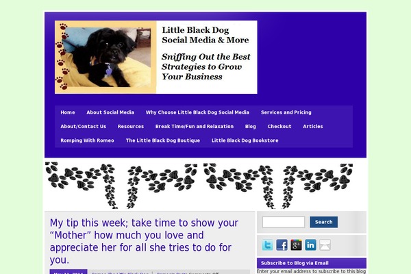 Catch Evolution theme site design template sample