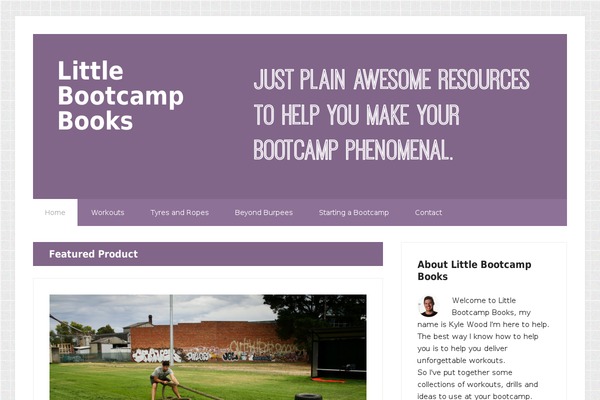 Lifestyle Pro theme site design template sample