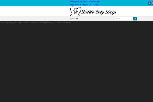 Site using Visitors-traffic-real-time-statistics-pro plugin