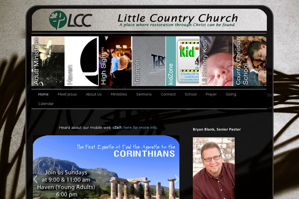 Sliding Door theme site design template sample