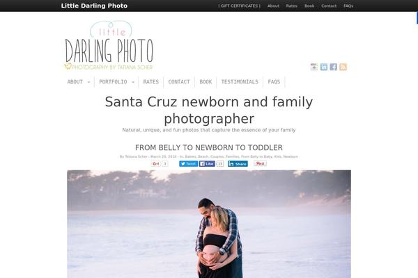 PageLines theme site design template sample