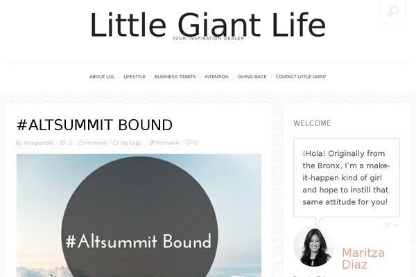 John Doe's Blog theme site design template sample