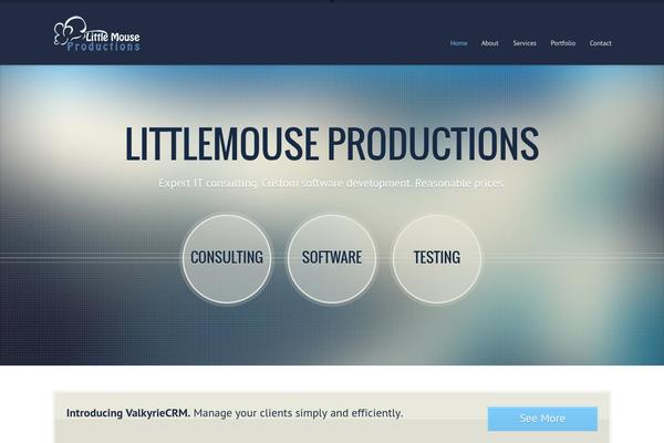 Appic theme site design template sample
