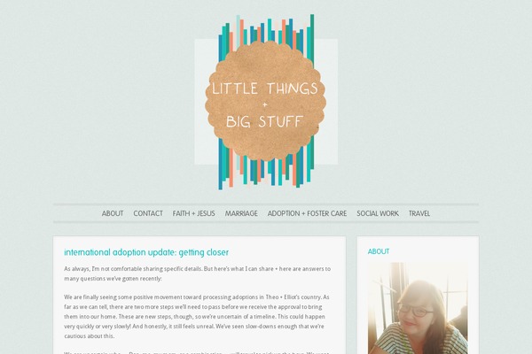 Site using Amazon-affiliate-link-localizer plugin