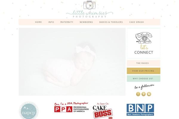 ProPhoto 5 theme site design template sample