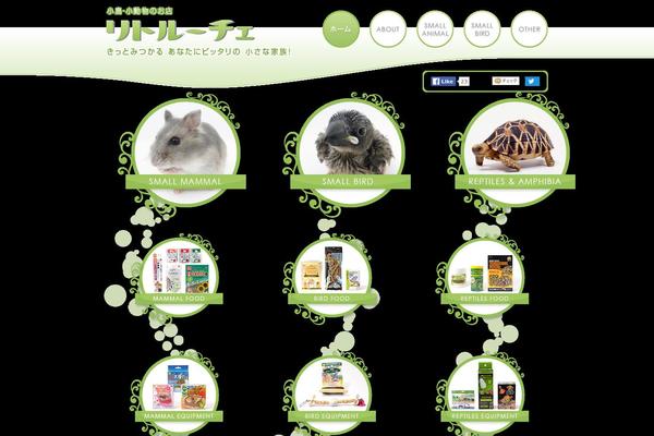Original theme site design template sample