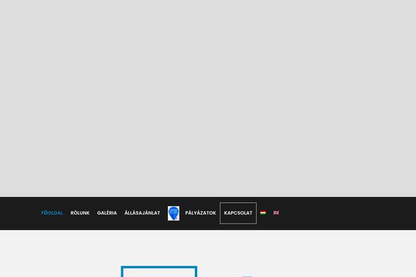 Site using Custom-content-team plugin